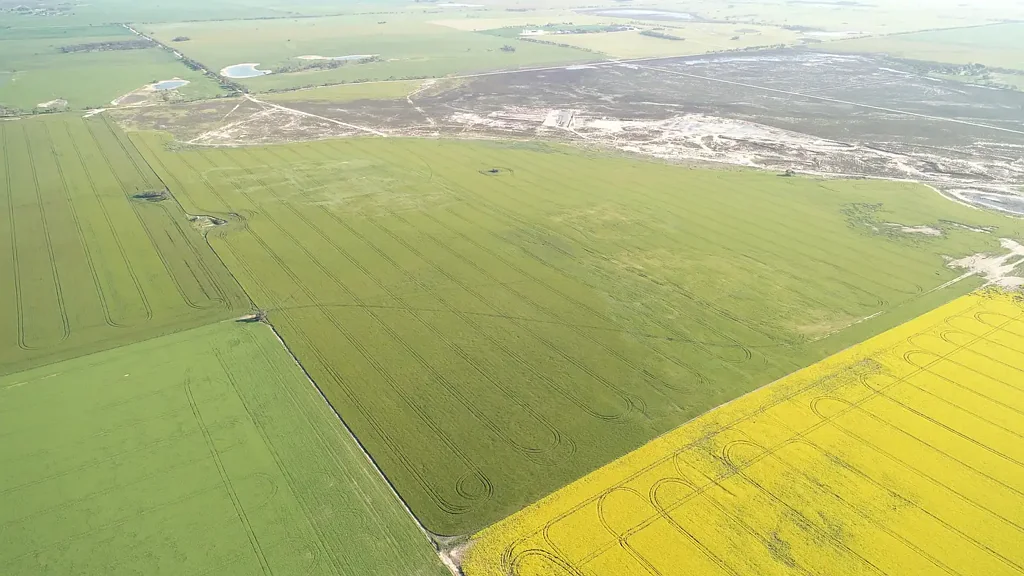 Antwerp  LAND AUCTION