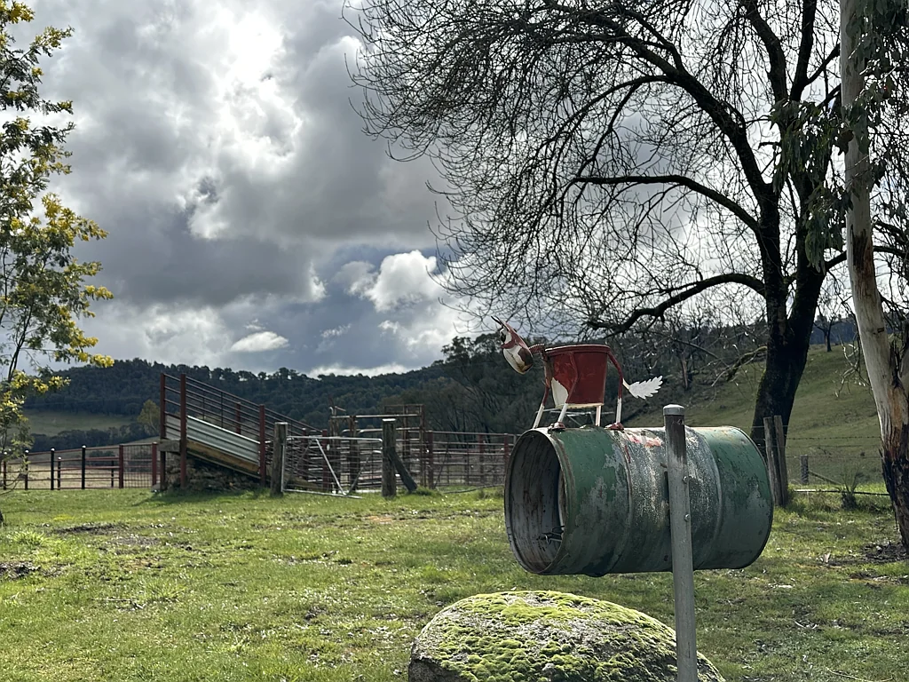 Tumbarumba Grazing Grazing Grazing