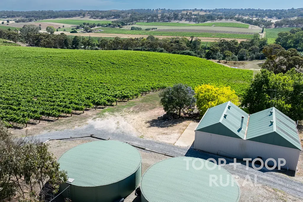 Clare Scenic Twin-Titled Vineyard & Bushland Escape in the Clare Valley