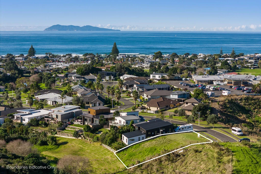 Waihi Beach Coastal Canvas…