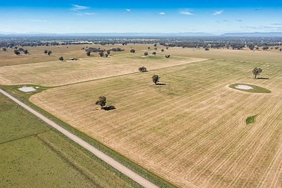 CA18 Goomalibee Rd, Goomalibee, VIC 3673, 0 Bedrooms, 0 Bathrooms, Lifestyle Property