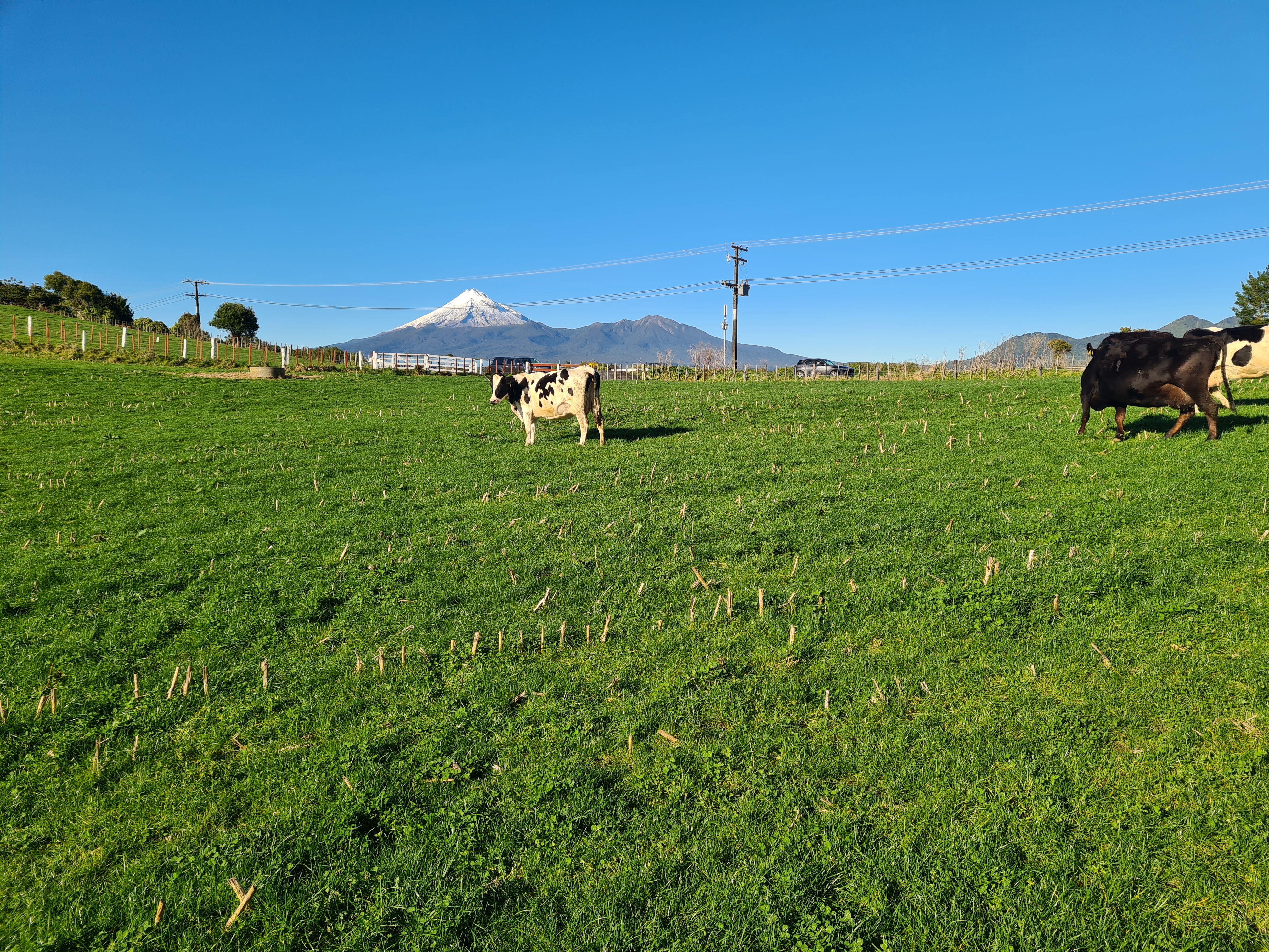 568 South Road, Omata, New Plymouth, 0 રૂમ, 1 બાથરૂમ, Grazing