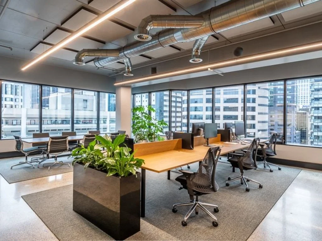 Auckland Central Boutique Creative Suite