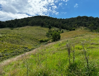 LOT 31/4252 Nowendoc Road, Number One, NSW 2424, 0 ਕਮਰੇ, 0 ਬਾਥਰੂਮ, Section