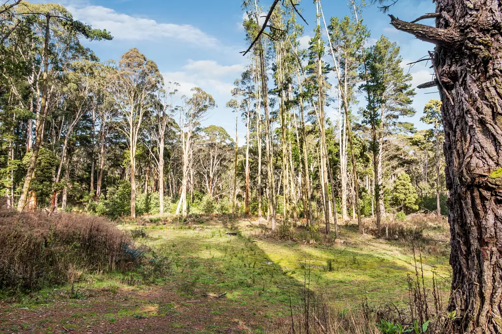 Blackwood Over 1 Acres nestled by the River - Simplistic Serenity