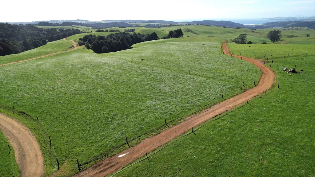 Kaeo  81ha Bay of Islands Dairy Farm