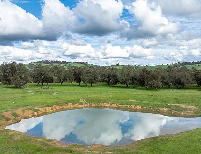 520 Bindoon Moora Rd, Bindoon, Wheat Belt, 0房, 0浴, Section