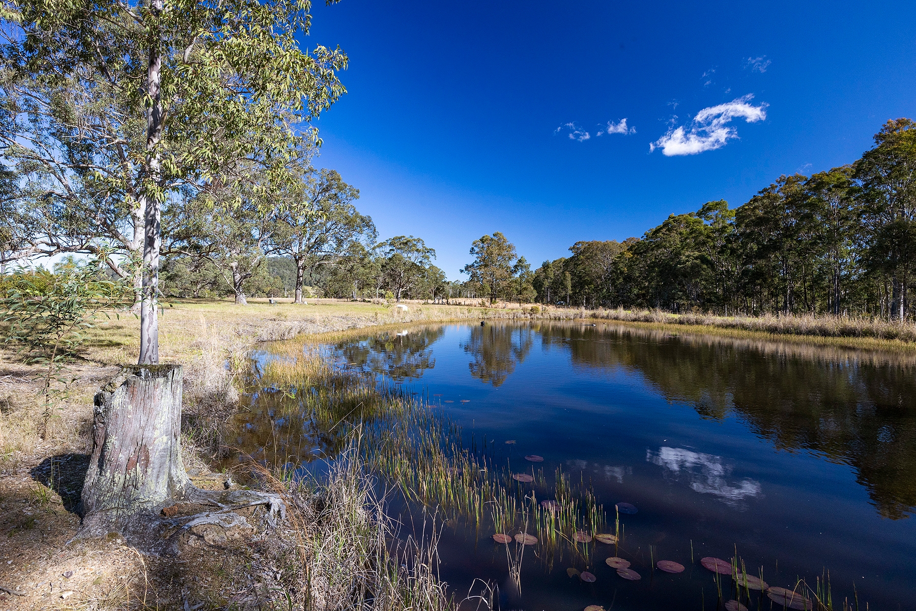 3568 WALLANBAH RD, DYERS CROSSING NSW 2429, 0 ਕਮਰੇ, 0 ਬਾਥਰੂਮ, Lifestyle Property