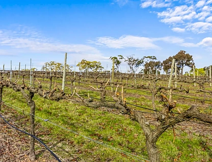 Lots 50A-15 Westgate Road, Armstrong, Horsham, 0 침실, 0 욕실, Lifestyle Property