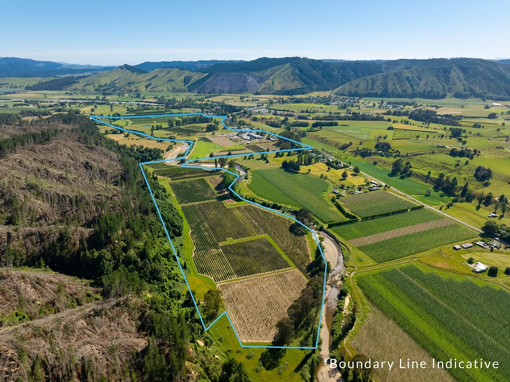 Tapawera Berry Operation with Scale, Proven Performance