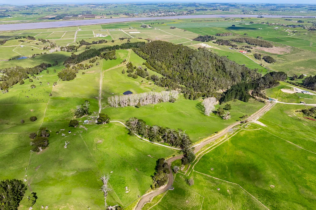 Dargaville 62ha versatile lifestyle & grazing block
