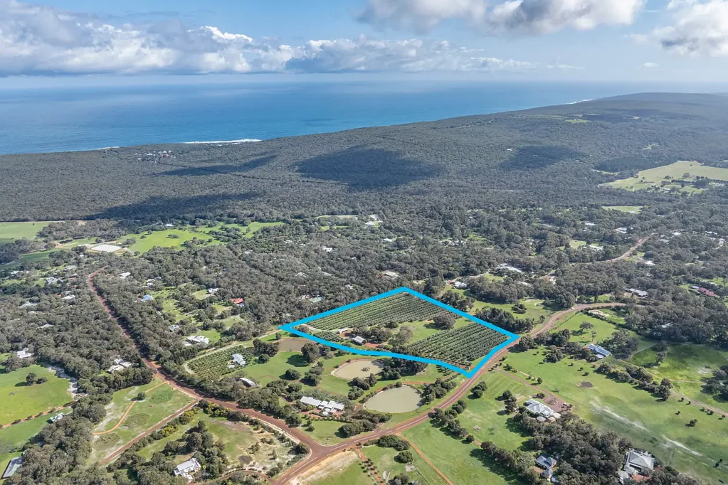 Yallingup A Rare Gem in the Margaret River Wine Region