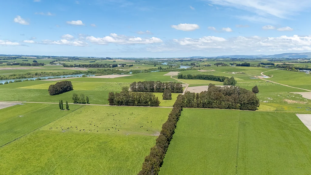 Greenfield  Argyll Dairy Group