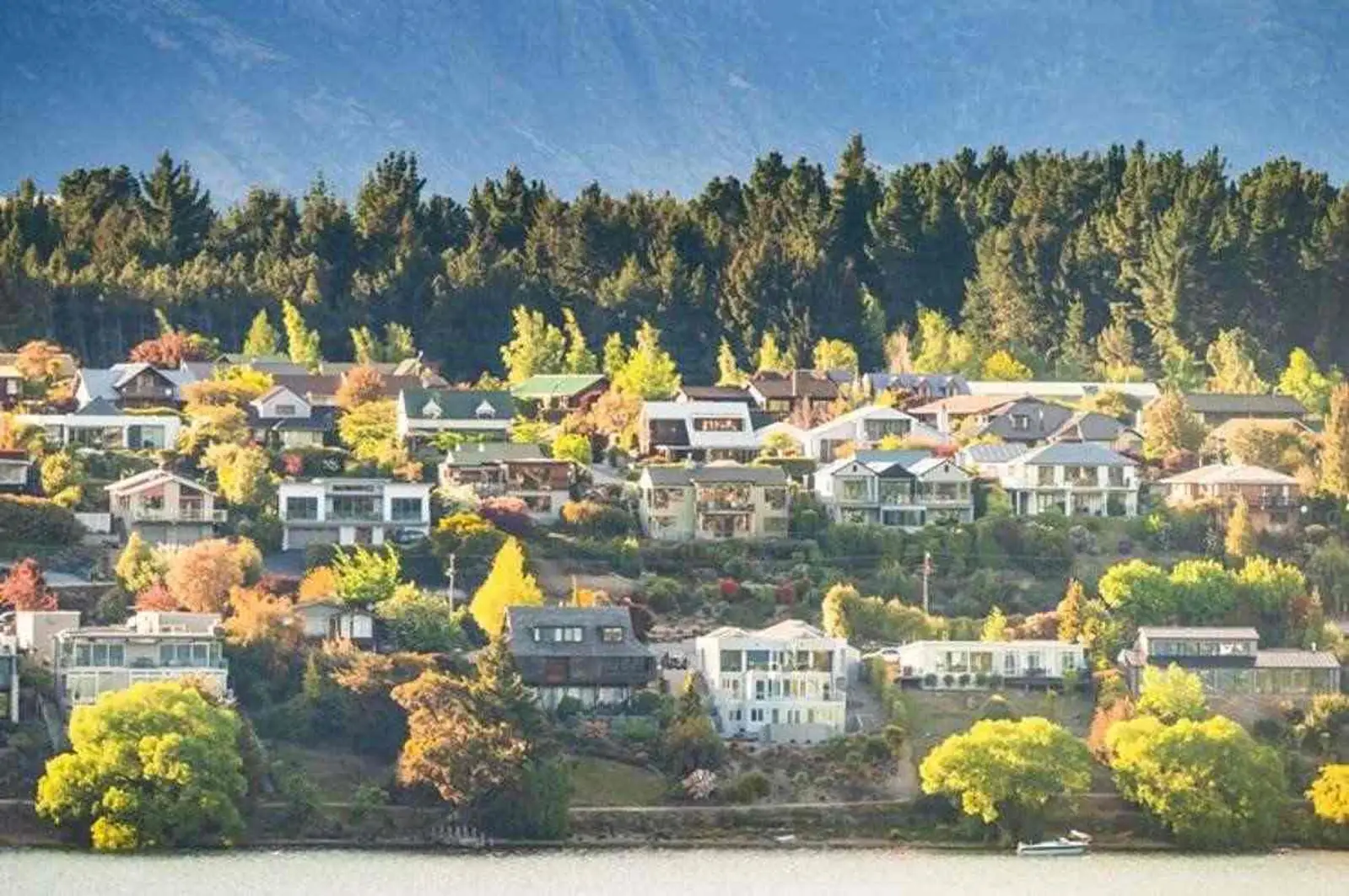 复苏开启！最高涨超25%！2024年新西兰房价涨最多的地区揭秘，奥克兰强劲收官！