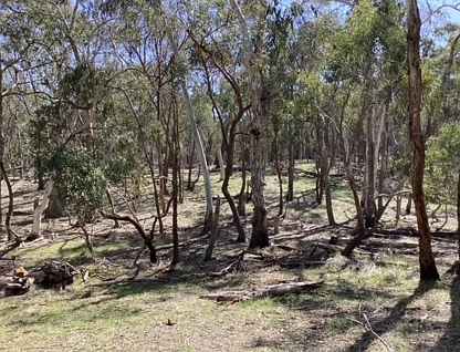Lot 70C & McMillan Lane, Beaufort, Ballarat, 0 침실, 0 욕실, Lifestyle Property