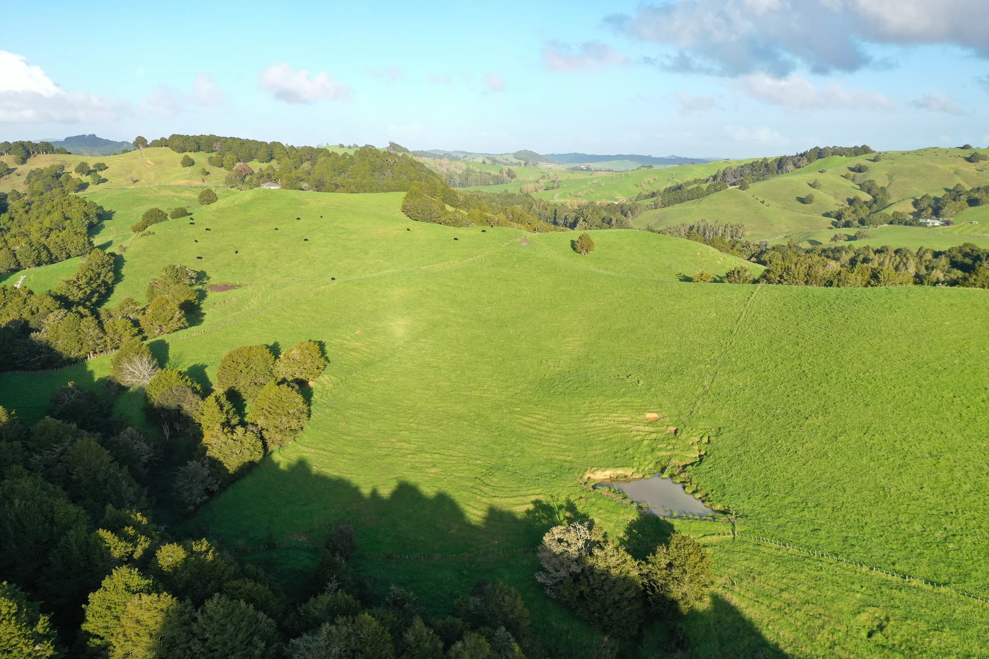 Paparoa Prime Paparoa Stock Block