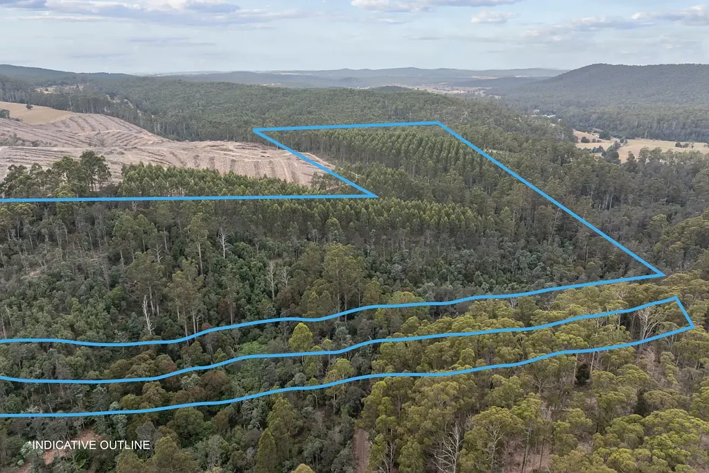 Lebrina  Forestry, Potential Lifestyle Property  on 19.63Ha (48.5acres)