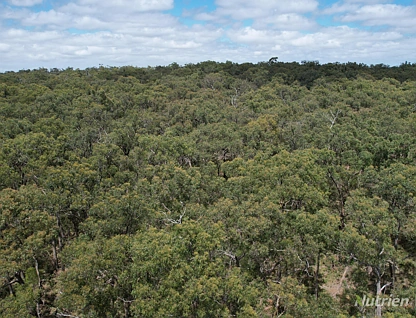 "Myamyn West" Myamyn Road, Hotspur, Portland and Glenelg Shire, 0 રૂમ, 0 બાથરૂમ, Lifestyle Property