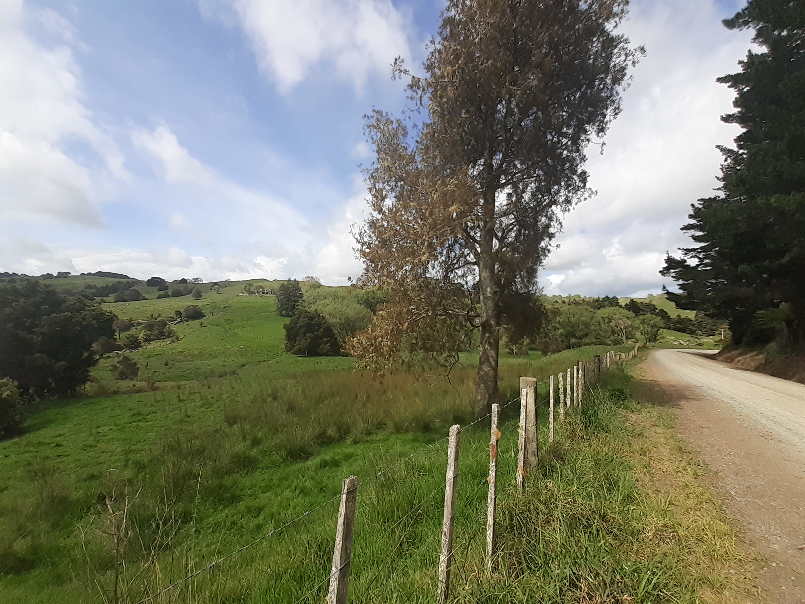 171 Arcadia Road, Paparoa, Kaipara, 0房, 0浴