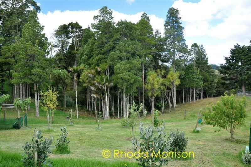 49 The Pines Road, Paparoa, Kaipara, 4房, 0浴