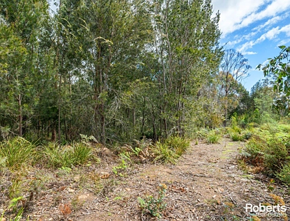 12 Forest Heights Drive, Tugrah, West and North West, 0 Schlafzimmer, 0 Badezimmer, Section