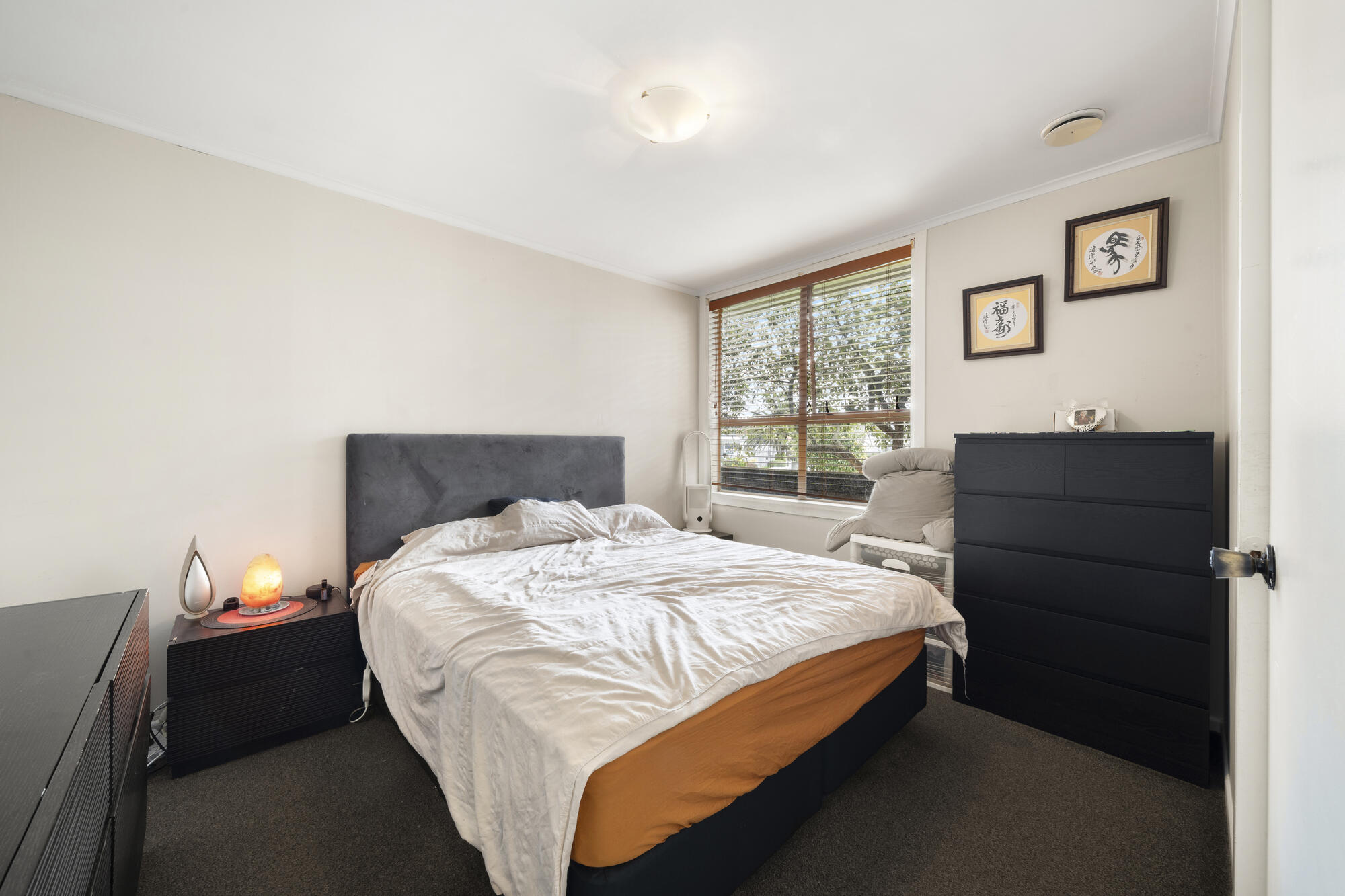 137 Moore Street, Howick, photo 5
