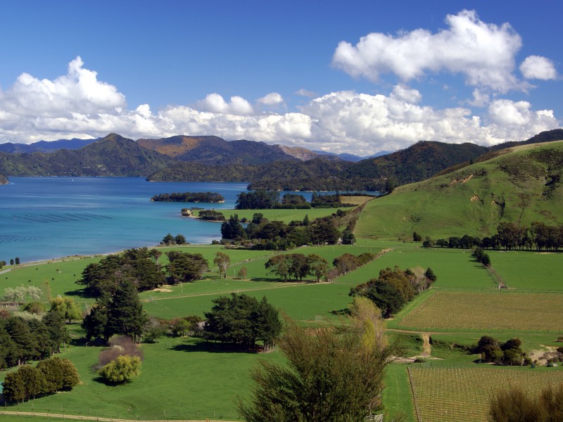 5742 Kenepuru Road, Kenepuru Sound, Marlborough, 5部屋, 4バスルーム