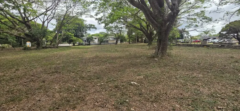 Ingham PRACTICAL, LEAFY 2,039 SQUARE METRE ALLOTMENT ADJOINING TYTO WETLANDS!