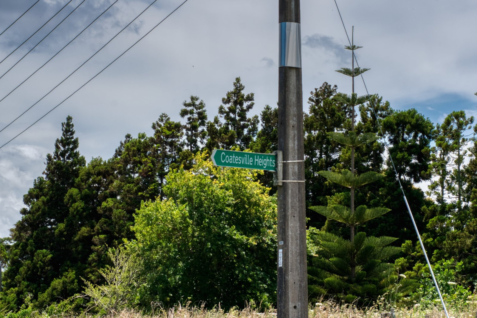 67 Coatesville Heights, Coatesville, Auckland - Rodney, 4 chambres, 0 salles de bain