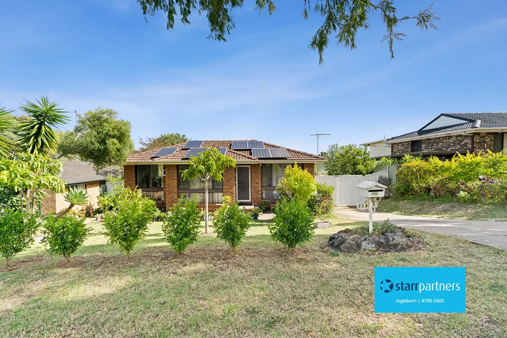 228 Eagleview Road, Minto, NSW 2566