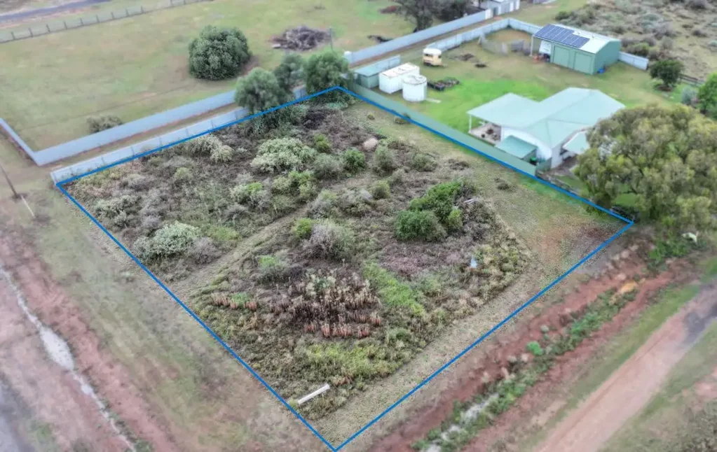 19 Alma Street, Ashley, NSW 2400