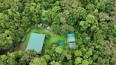 Jubilee Heights 1房  1 Ha of completely private rainforest.