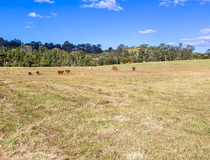 15 Perry Road, Image Flat, QLD 4560, 0 slaapkamers, 0 badkamers, Section