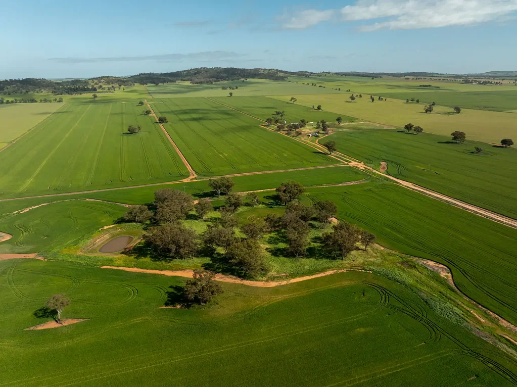 Downside Prime Location Meets Unlimited Farming & Lifestyle Potential