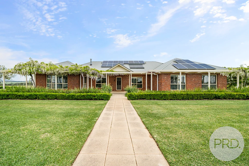 86 Butterbush Road, Gregadoo, NSW 2650