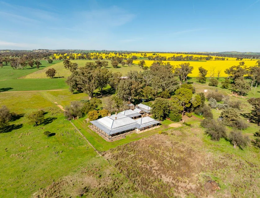 'Greenbank' 2 Mines Road, Young, Riverina, 5房, 2浴, Lifestyle Property