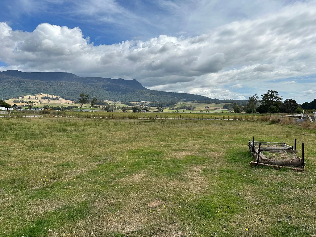 Meander  MOUNTAIN VIEWS
