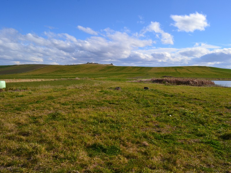 389 Fortification Road, Totara, Waitaki, 4 ห้องนอน, 0 ห้องน้ำ