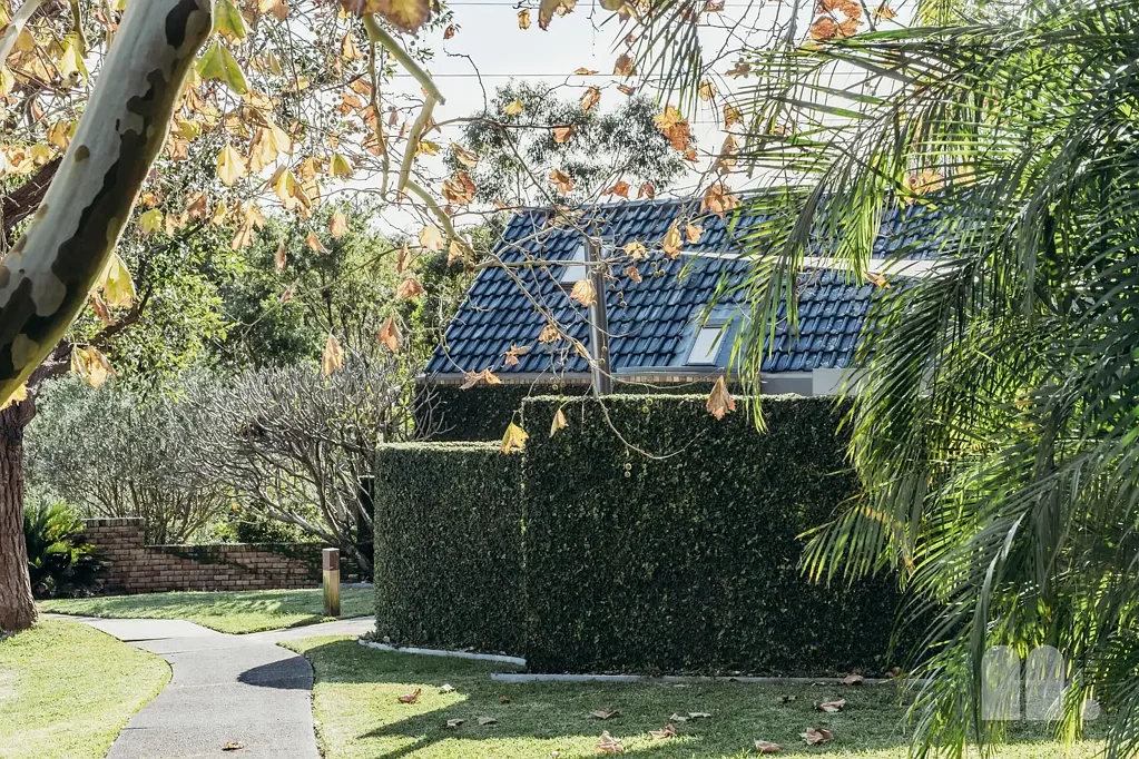 Merewether 5कमरा Treetop tranquility meets modernist design