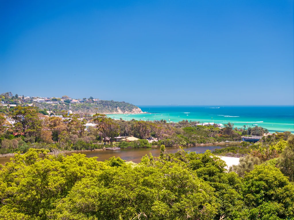 Mount Martha Bush and Bay Vista