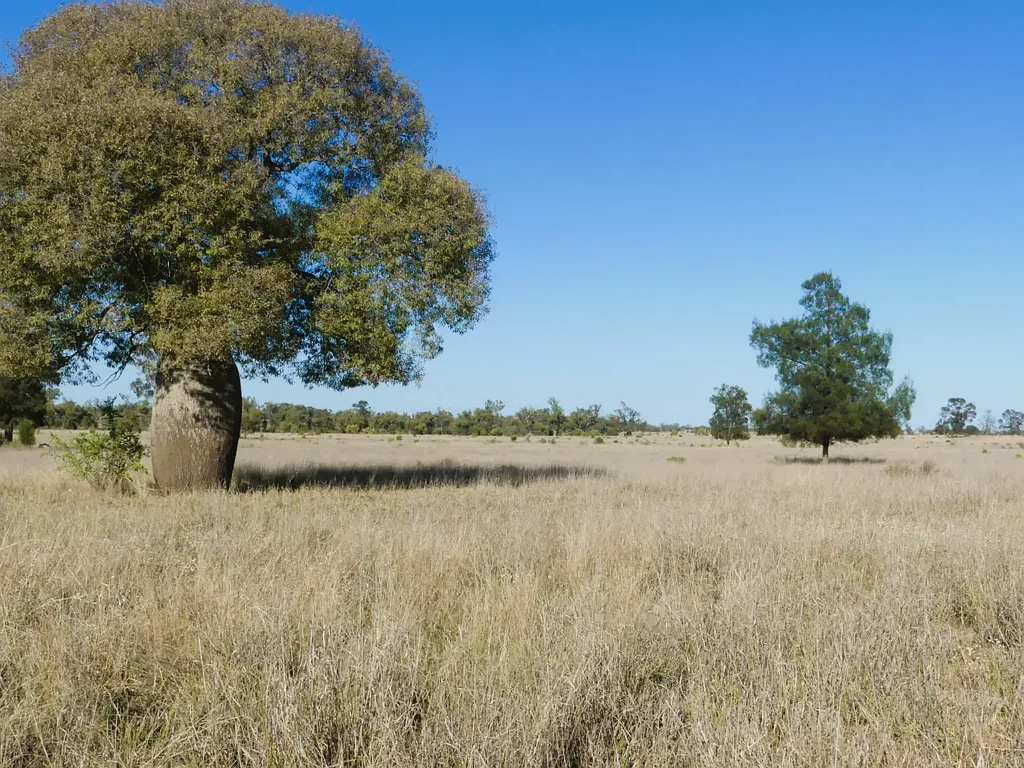 Roma  Superior Access - Exclusion Fenced - Great Water