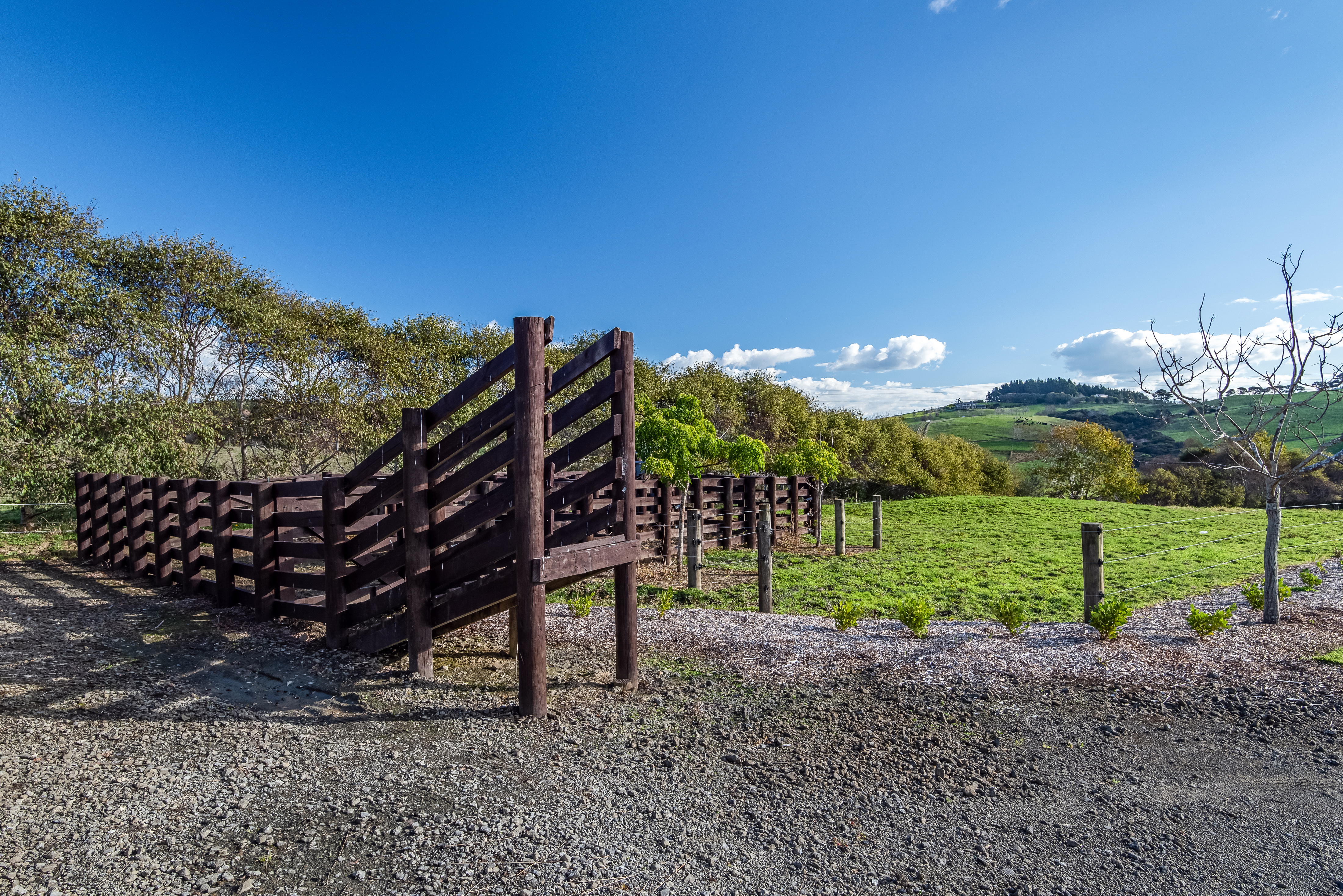 273 Forestry Road, Waitoki, Auckland - Rodney, 5房, 0浴