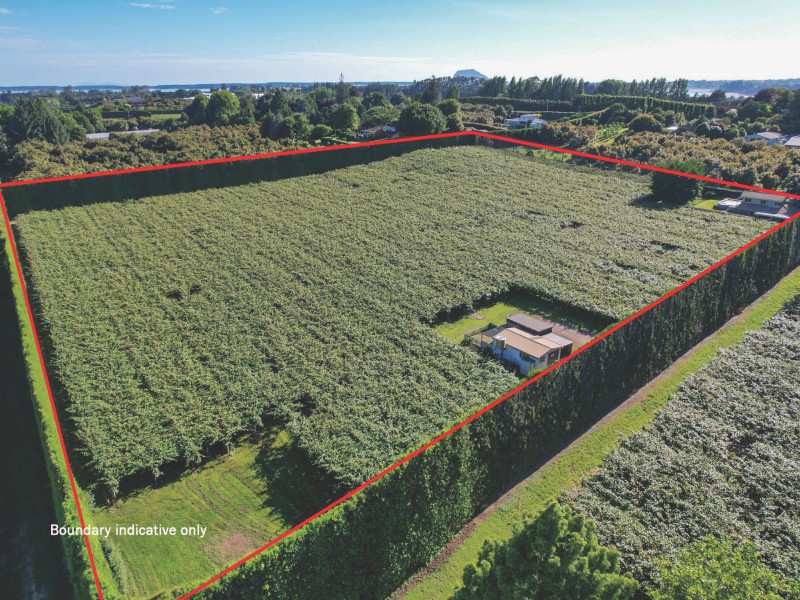 103 Te Puna Road, Te Puna, Bay Of Plenty, 0 rūma, 0 rūma horoi