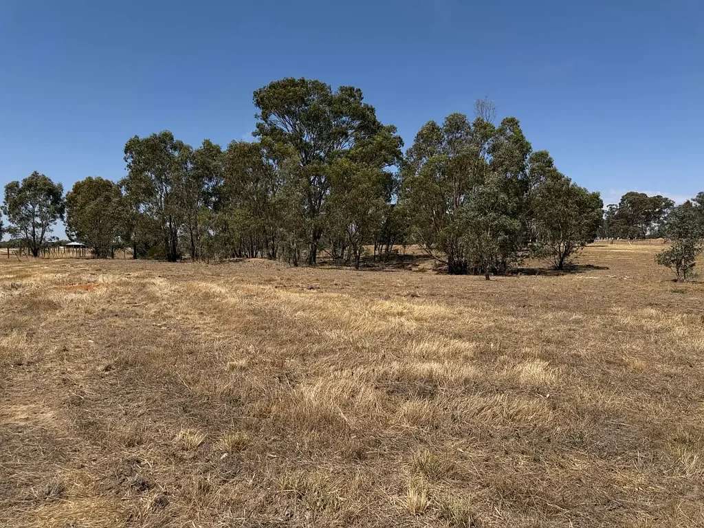 Bowenvale  WHERE OPEN LAND MEETS NATURAL BEAUTY