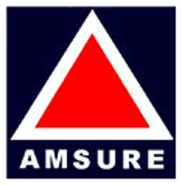 Amsure Realty