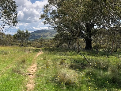 Address Withheld, Moonbah, NSW 2627, 0 Bedrooms, 0 Bathrooms, Section