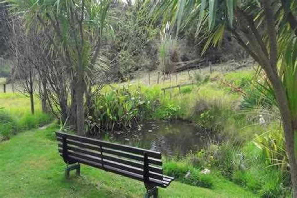 Waipu 1غرفة نوم MASSIVE PRICE REDUCTION. Perfect peace and privacy