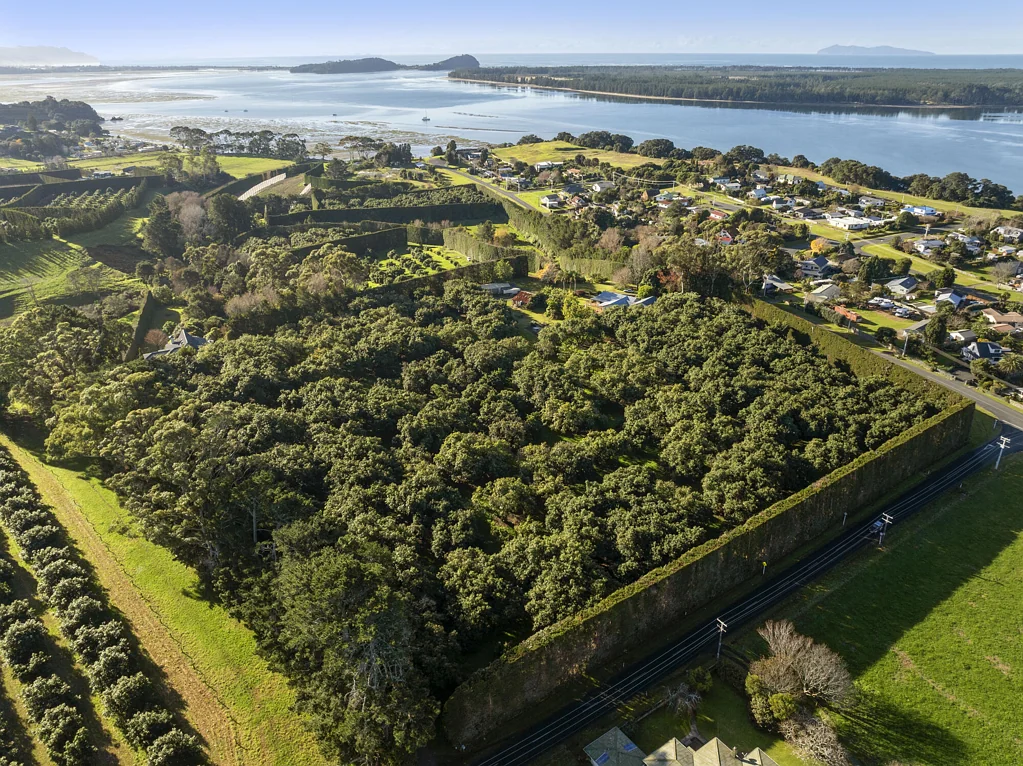 Katikati Two titles. Two homes. Lifestyle and income.