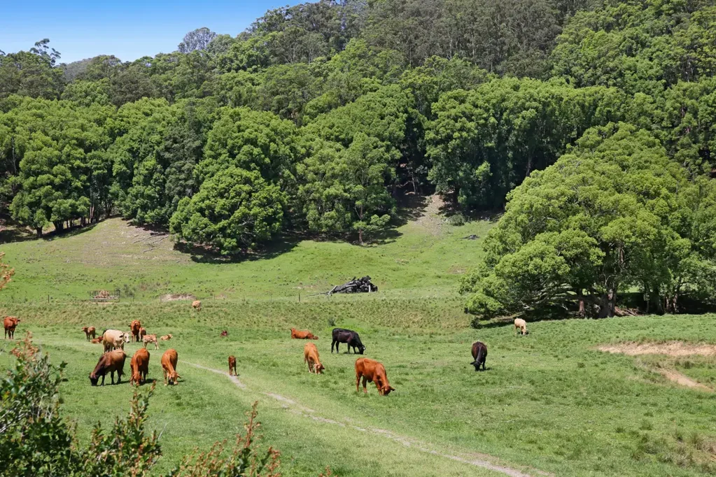 Currumbin Valley 2Phòng ngủ Landmark 156-Acre Currumbin Valley Landholding