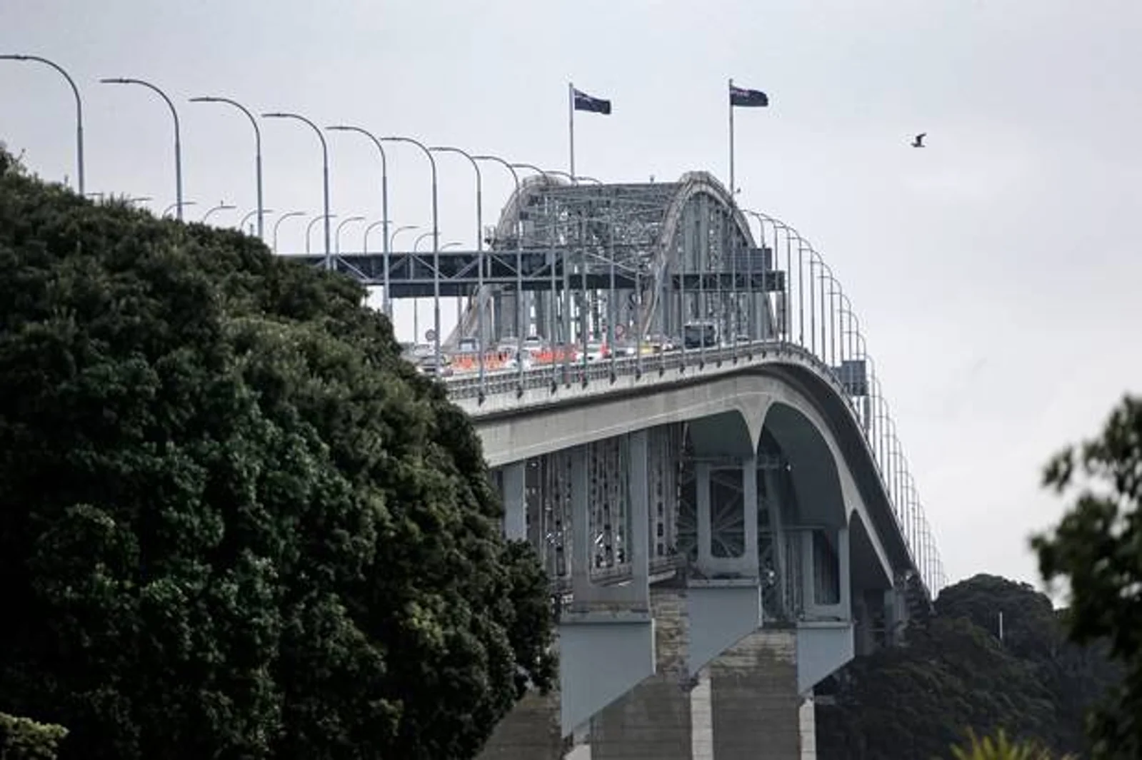 强风即将抵达!NZTA提醒:北岸大桥可能停用